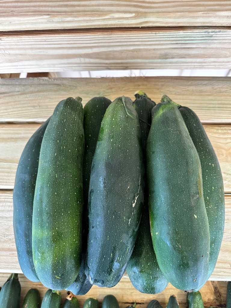 Zucchini