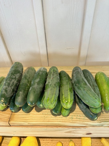 Cucumber