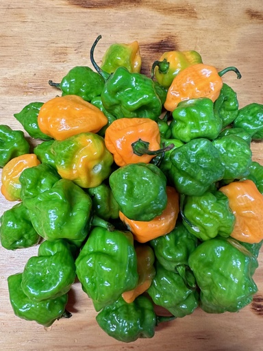 Habanero